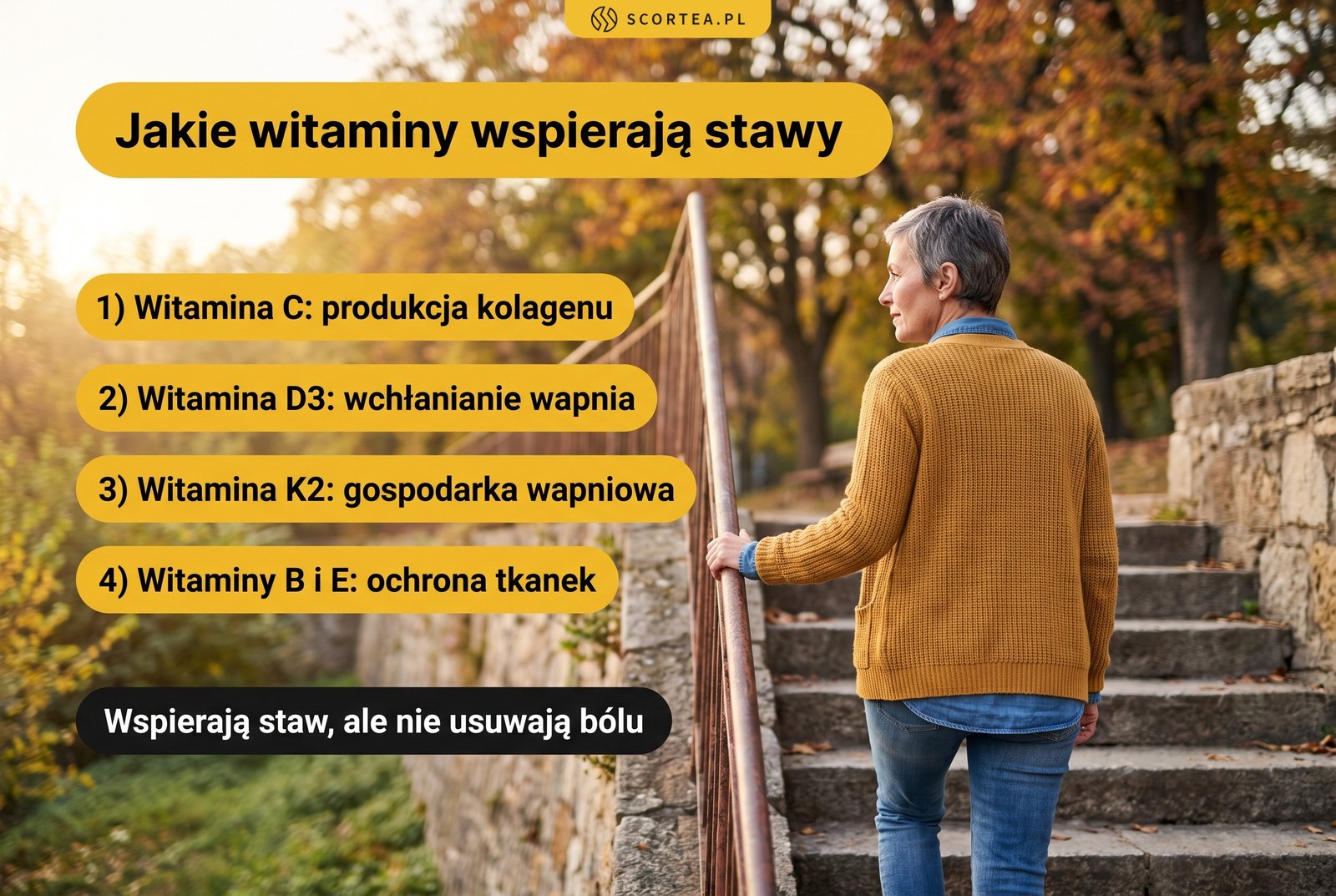 Infografika: jakie witaminy wspierają stawy. Witamina C produkcja kolagenu, D3 wchłanianie wapnia, K2 gospodarka wapniowa, B i E ochrona tkanek