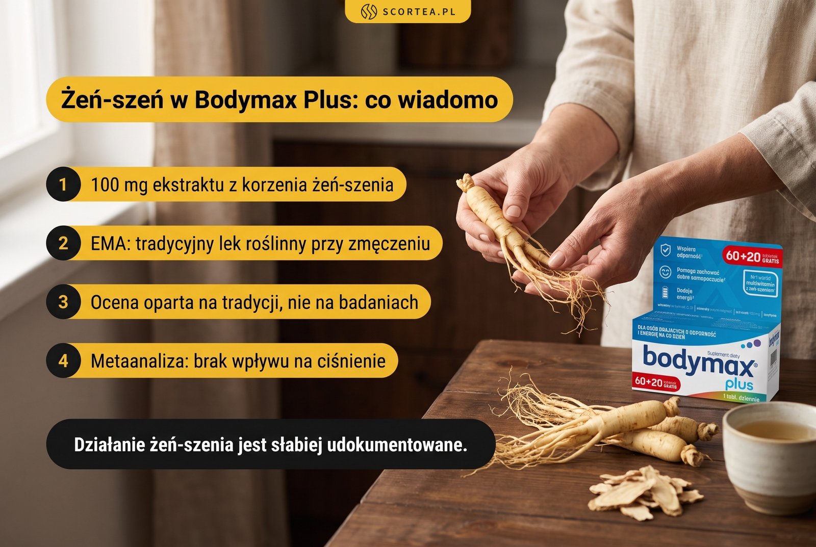Infografika: żeń-szeń w Bodymax Plus, co wiadomo: 100 mg ekstraktu z korzenia żeń-szenia; EMA uznaje go za tradycyjny lek roślinny przy zmęczeniu, ale ocena opiera się na tradycji stosowania, nie na badaniach; metaanaliza nie wykazała wpływu na ciśnienie; działanie jest słabiej udokumentowane